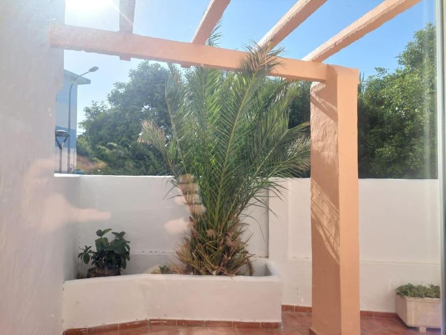 タリファPiscina, Wifi, Patio Con Vistasアパートメント エクステリア 写真