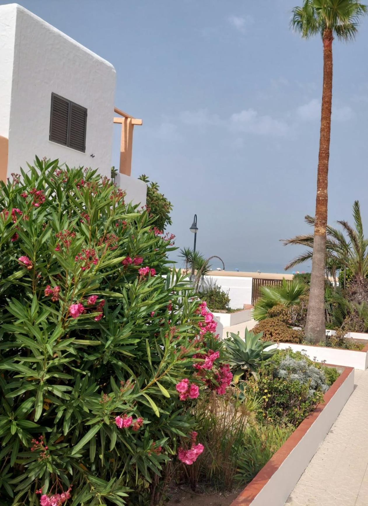 タリファPiscina, Wifi, Patio Con Vistasアパートメント エクステリア 写真
